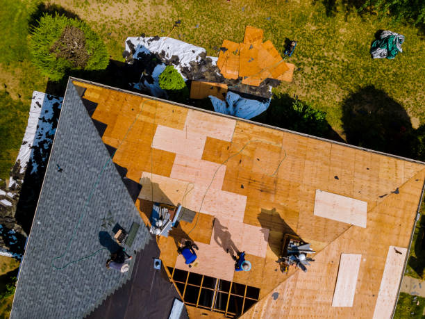 Best Residential Roofing Contractor  in Freeport, TX